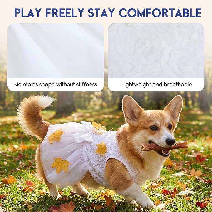 ASENKU Dog Dress Pet Wedding Dress Princess Lace Puppy Birthday Party Outfit Formal Apparel Girl for Small Medium Dogs Cats (Large, White)
