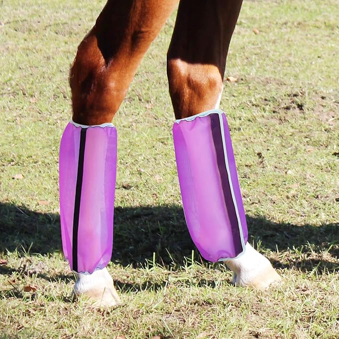 Mesh Fly Boots for Horse Breathable shoofly Leggings for Horses Set of 4 (L, Purple)