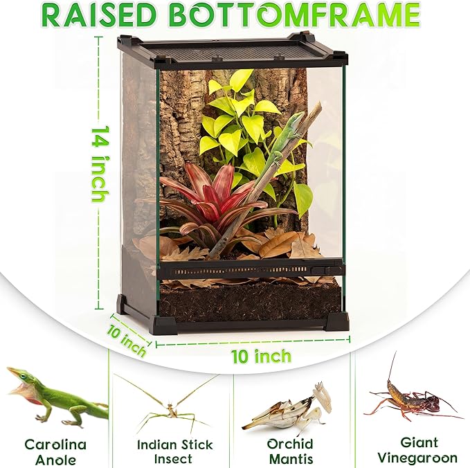 10"x10"x14" Mini Reptile Glass Terrarium, Front-Opening Vivarium with Feeding Slot & Heat-Resistant Aluminum Frame for Small Reptiles & Inverts, Like Anoles, Orchid Mantises & Stick Insects