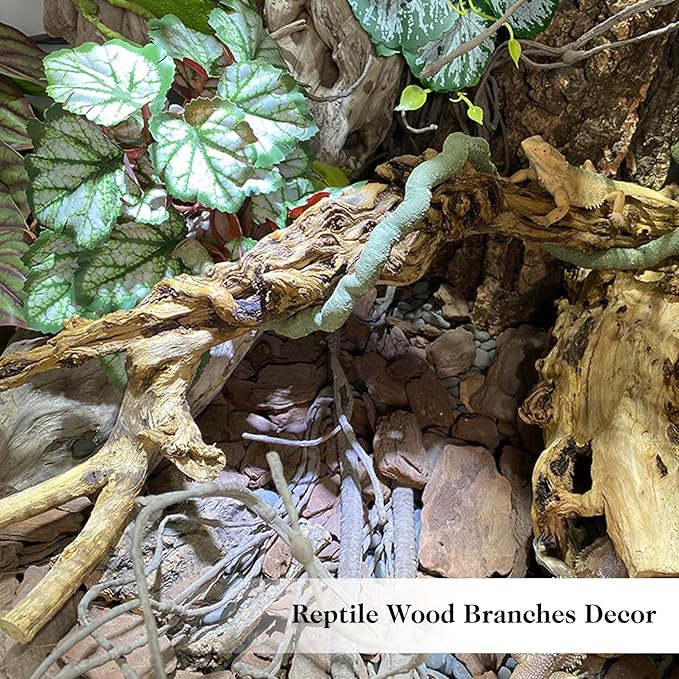 VCEPJH 2 Pack Reptile Wood Branches, Snake Climbing Branch Natural Bearded Dragon Log Tank Accessories Tree Trunk for Chameleon Gecko Snake Frog Spider