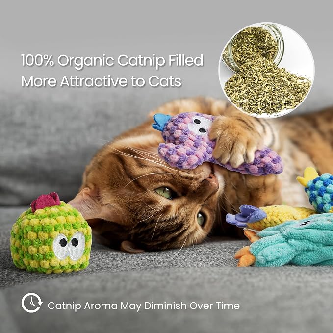 5 Pack Cactus Catnip Toys, 100% Organic Catnip Toys for Indoor Cats, Interactive Plush Chew Fun Without Cotton, Teething Soft Kittens Toys for Kitty, Colorful - Image 5