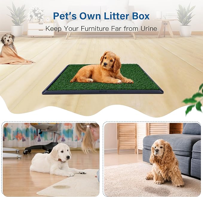 Artificial Grass for Dog Potty – 16 x 20 inch,Dog Litter Box with Grass Strong Absorbency Grass Pad with Tray,Potty Training Pad，2 Pack
