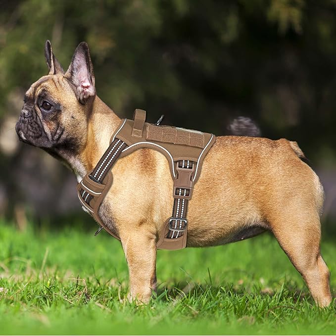Beebiepet Heavy Duty Tactical Dog Harness for Medium Dogs, Brown, Molle System, Four-Point Adjustment, Anti-Lost ID Tag, Includes 5ft Leash