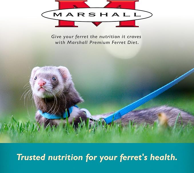 (2 Pack) Marshall Pet Products Select Chicken Formula Premium Ferret Diet
