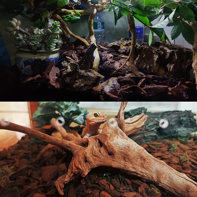 Tfwadmx Reptile Bark Bedding 31.6oz Tortoise Bedding for Habitat Bearded Dragon Substrate Reusable Pine Chips Substrate for Geckos, Lizards, Turtles Snakes, Hermit Crabs