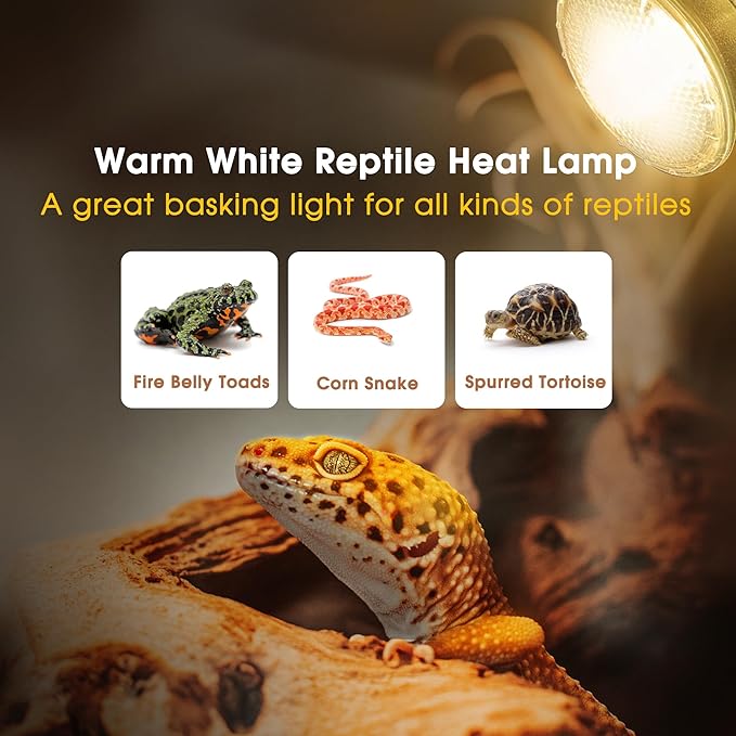Briignite Reptile Heat Bulb [2 Pack], Reptile Light Bulbs 75W UVA UVB, Dimmable Heat Lamp Bulbs Basking Spot Light Bulb for Reptiles, Amphibian, Bearded Dragon, Lizard, Chicken