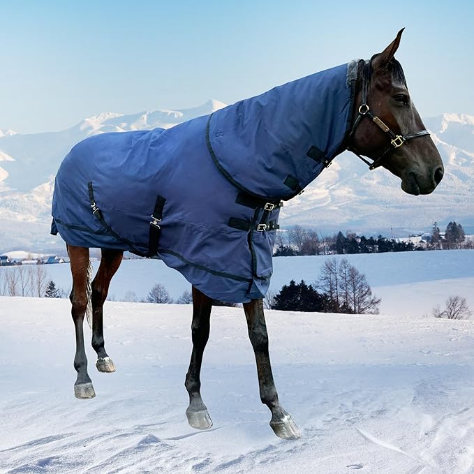 Horse Turnout Blanket | Medium Weight Horse Blanket with 1200D 250g Cotton Filling | Detachable Neck Cover & Belly Wrap (72in/135cm)