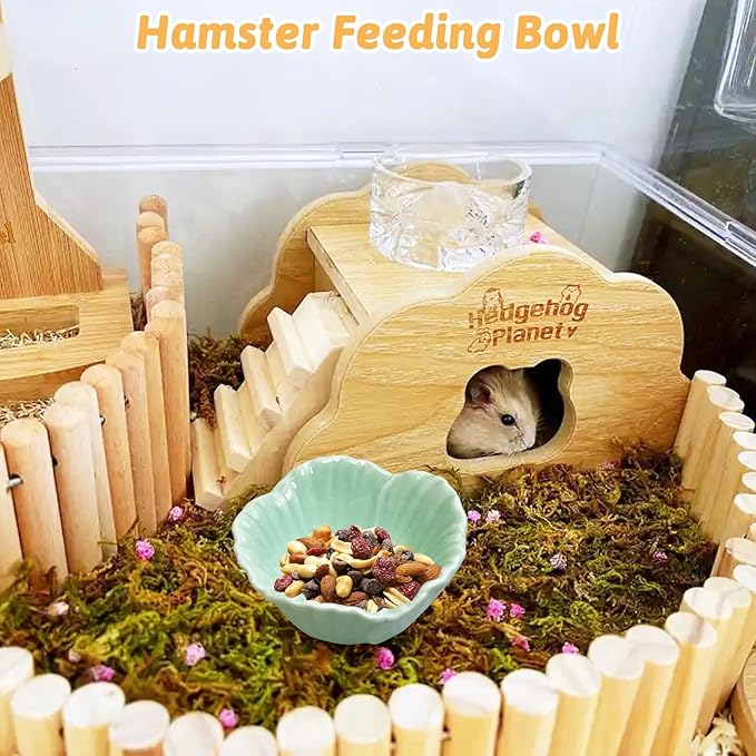 Tfwadmx 2 Pcs Ceramic Pet Hamster Bowl, Dwarf Hamster Food Bowl Feeder, Small Animal Food Dish for Guinea Pigs, Hedgehogs, Mice, Pygmy Hamsters, Robertsky'S Cheeky Mice (Cyan)