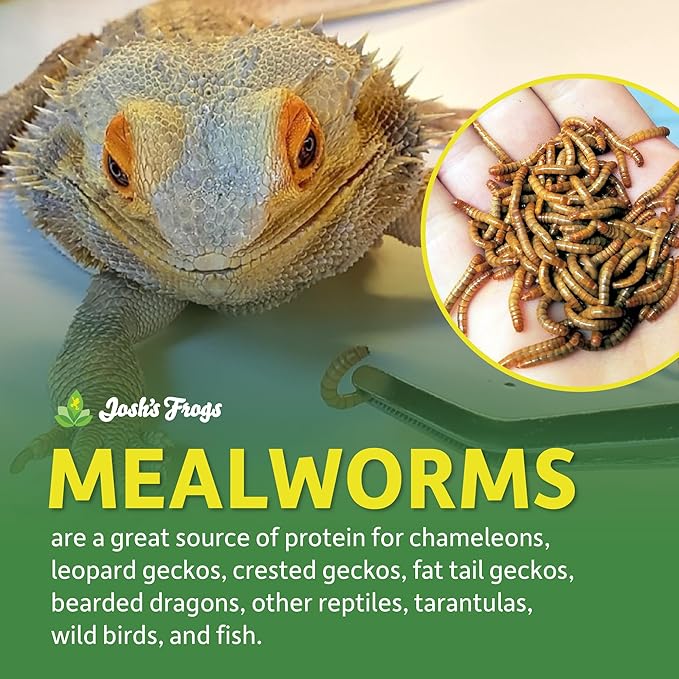 Josh's Frogs Mealworms (100 Count)