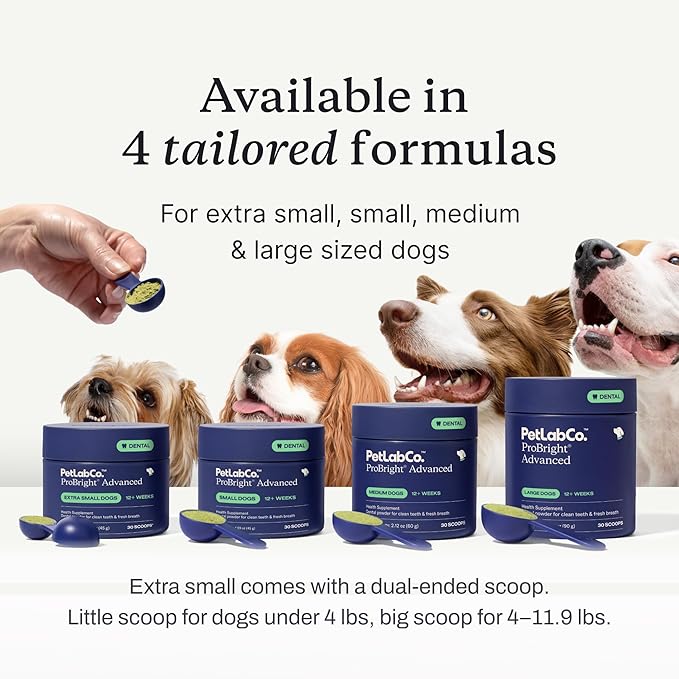 PetLab Co. ProBright Advanced Dental Powder - Dog Breath Freshener - Teeth Cleaning Made Easy – Targets Tartar & Bad Breath - Packaging May Vary - Formulated for Extra Small Dogs