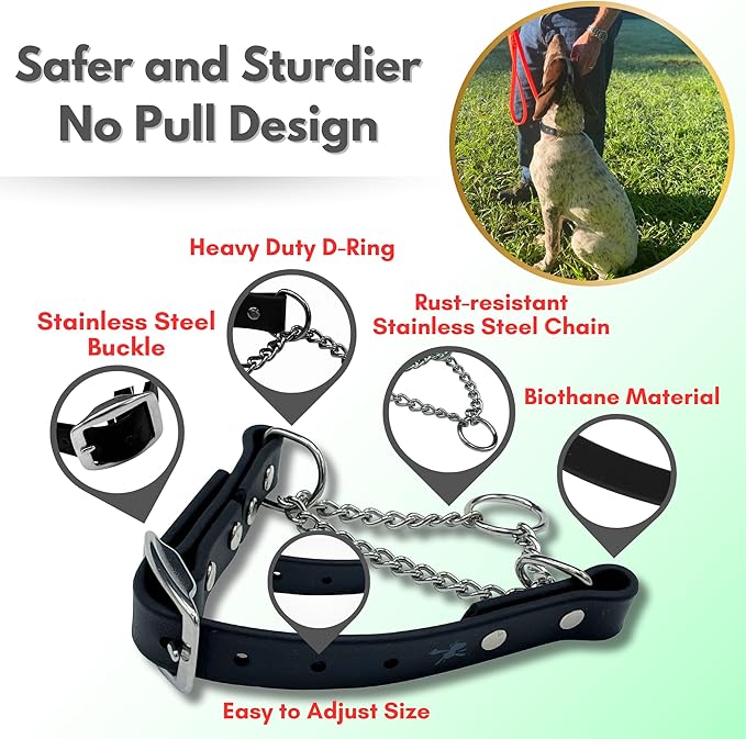 Martingale Collar for Dogs, Biothane, Stainless Steel Hardware, No Pull, Made in The USA, Professional Grade. Small, Black