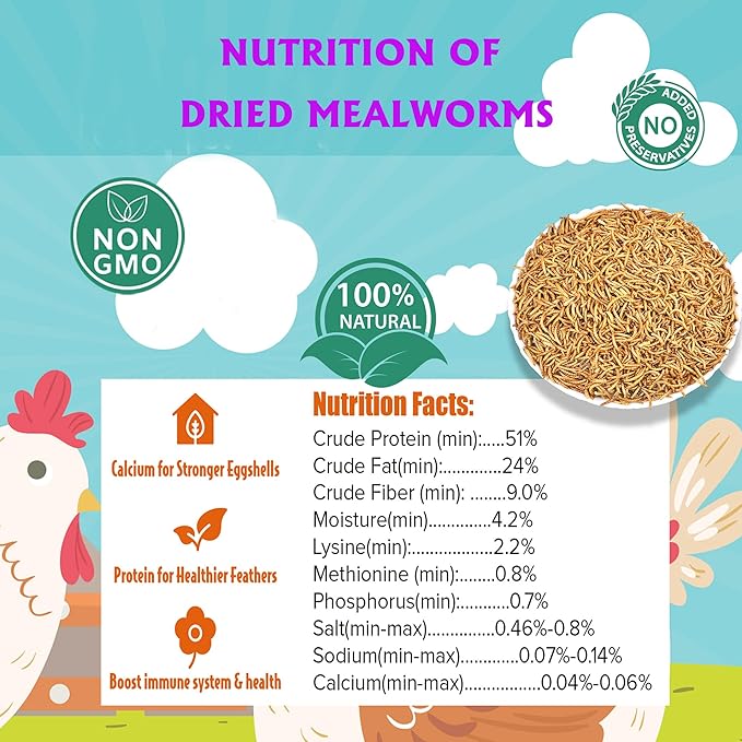 Dried Mealworms 10LB Pure Natural Non-GMO Mealworms for Chicken Ducks and Wild Birds High Protein Chicken Feed and Bird Food