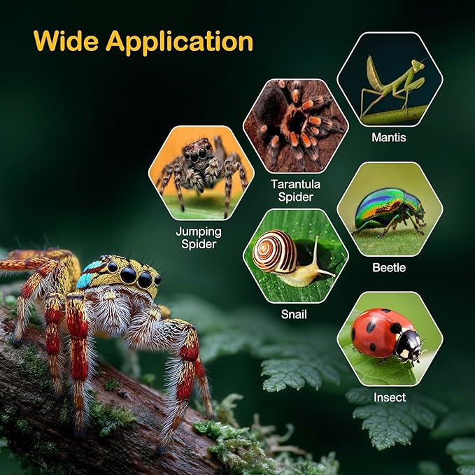 Jumping Spider Enclosure Kit,Escape Proof Reptile Tank,Praying Mantis Terrariums,Transparent Acrylic Bug Habitat,Arboreal Tarantula Cribs Cage,Insect Starter Container,Critter Keeper Large