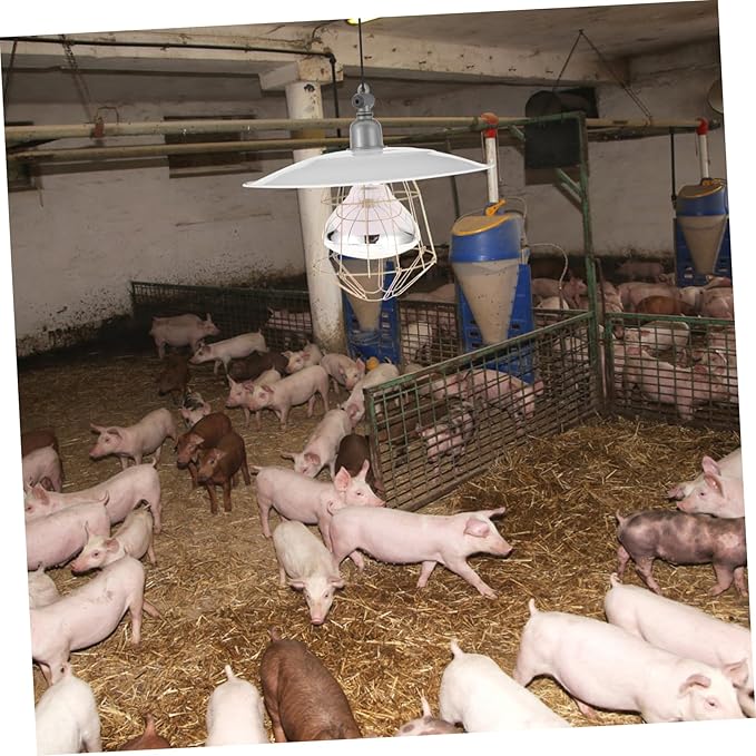 LIOOBO Heat Preservation Lamp Set Thermostat Lamp for Poultry Home/Farm/Reptile Use