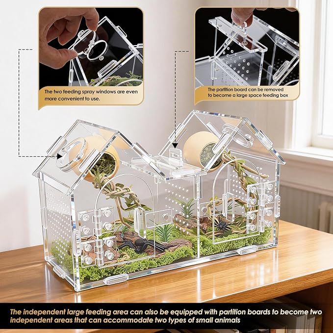Jumping Spider Enclosure, Acrylic Terrarium with Partition Divider (1-2 Compartments), Dual Magnetic Doors & All-Side Ventilation, Jumping Spiders, Tarantulas, Mantis, GeckosHabitat, 9.6x4.2x5.8