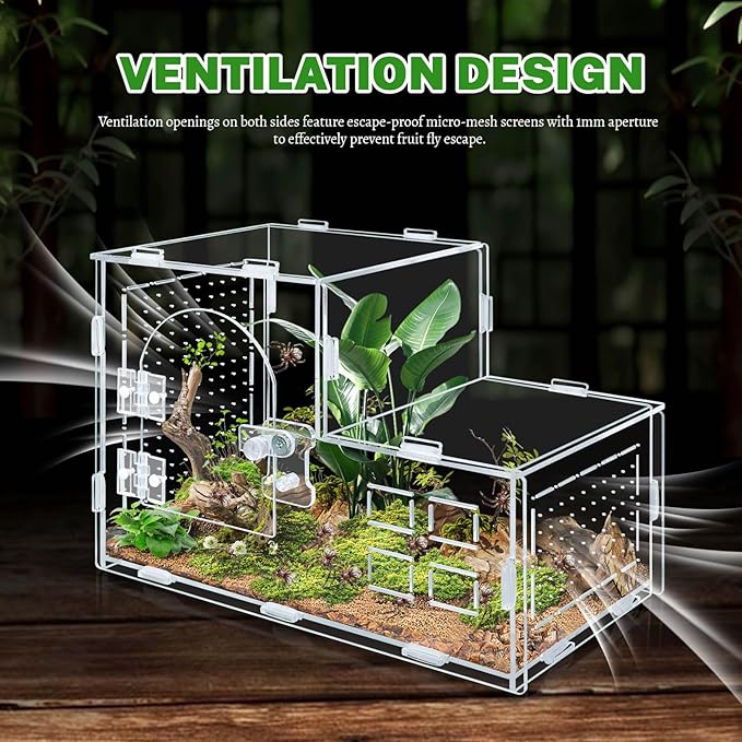 Acrylic Jumping Spider Enclosure, Clear Ventilated Spider Terrarium with Snap-on Front Door, 9.8×5.5×6.8in Reptile Habitat for Snails, Mantises, Small Tarantulas and Small Tree Frogs