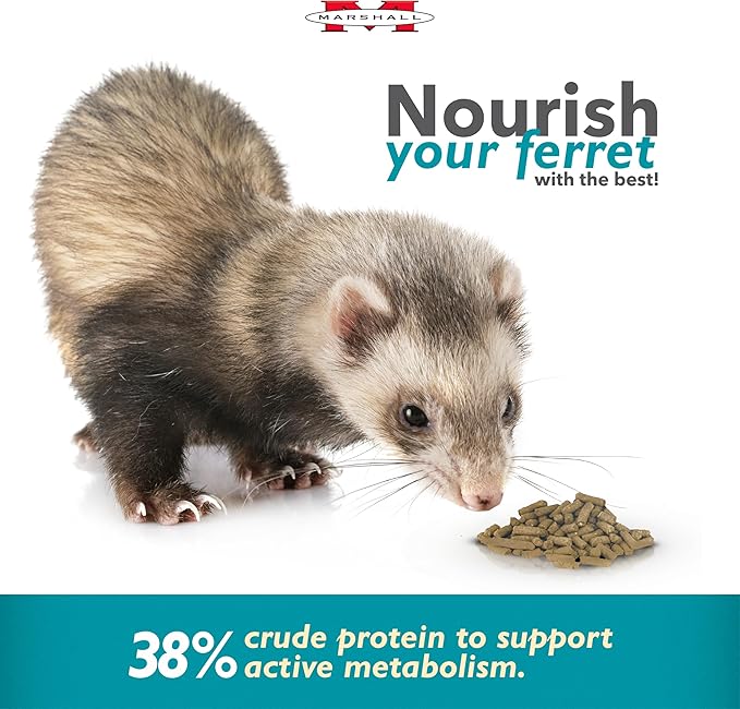 (2 Pack) Marshall Pet Products Select Chicken Formula Premium Ferret Diet
