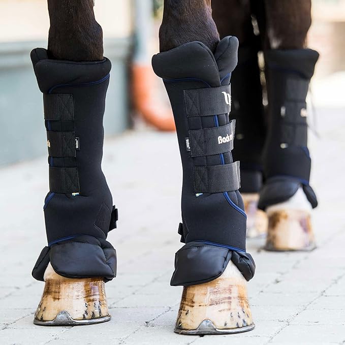 Back on Track Royal Quick Wraps Deluxe for Horses 2033 with Welltex Technology, Sold in Pairs, Navy, Small (12")