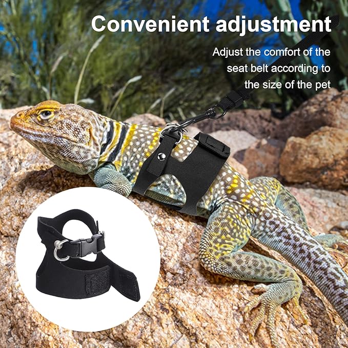 3 Pack Bearded Dragon Harness and Leash Set, Adjustable Nylon Bearded Dragon Accessories with 3 Sizes Vests, 6.56ft Lead for Reptile Training & Walking Accessories(Black)