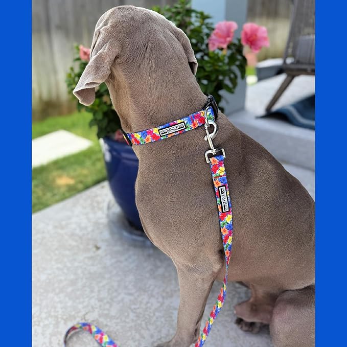 Lucky Love Dog - Easy Click Buckle Dog Collar with Leash Set Combo, Durable & Comfortable for Male & Female Dogs, Pet Collar for Medium Dogs, Secure Fit - Hana Combo, Medium