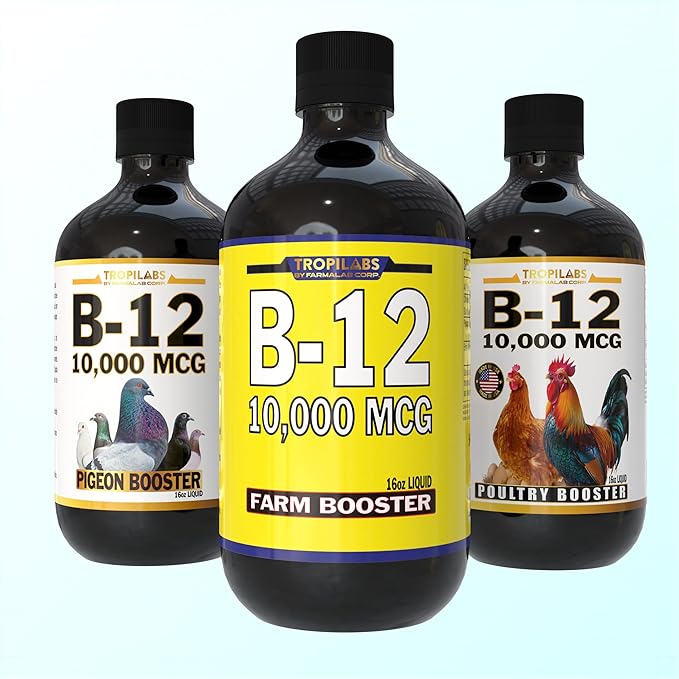B12 B-12 Liquid 10,000 MCG Supplement for Poultry Birds, Chickens, Hens, Roosters, Pigeons, Ducks, Gooses, Turkeys & All Farm Animals 16oz Vitamin Drinking Water Additive (Chicken Farm Booster)