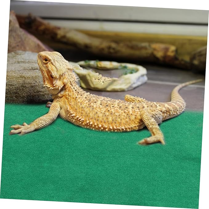 BESPORTBLE Reptile Cushion for Tortoises Lizards Spiders Durable Pet Sleeping Pad for Climbing Warmth Winter Reptile Mat for Terrarium Use