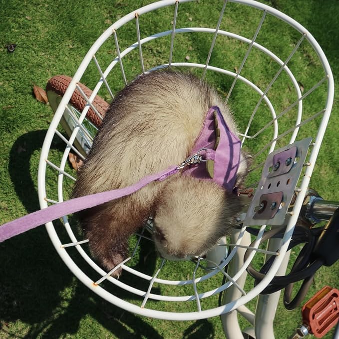 Bearded Dragon Harness and Leash Set - Soft Fleece Dinosaur Vest with Safe Bell Adjustable Lizard Traction Rope Escape Proof Outdoor Walking Training Leash for Ferret Rat Kitten Puppy (Purple)
