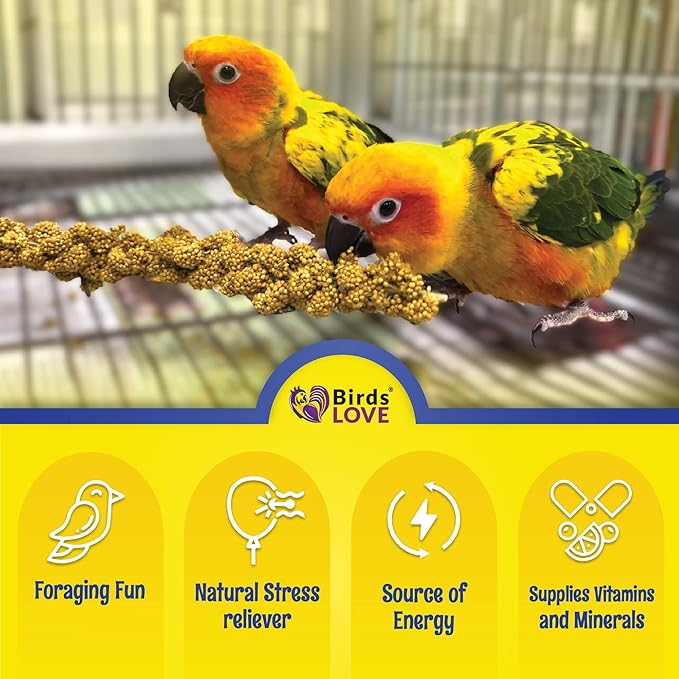 25lbs Economy & Special Spray Millet for Birds – GMO-Free, No Stems (Only Edible Tops) – 100% Natural Sun-Dried Foraging Treat for Cockatiels, Lovebirds, Parakeets, Finches & Canaries