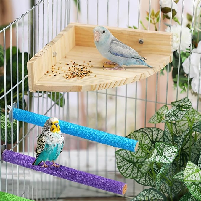 Novabright 10 Pack Bird Perch Stand Toys, 5 Pcs 7 Inch Wooden Corner Platforms & 5 Pcs 8 Inch Parrot Paw Grinding Sticks, Cage Accessories for Cockatiels, Budgies, Parakeets
