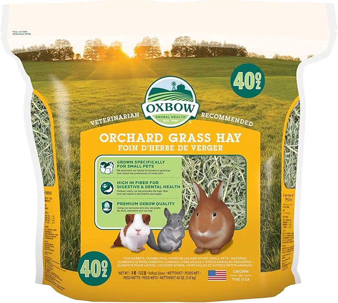 Oxbow Orchard Grass Hay for Small Pets – All-Natural Long Strand Fiber Hay for Rabbits,Guinea Pigs,Chinchillas,and Hamsters – Supports Digestive Health and Enrichment-– 40 oz Bag,(Pack of 2)