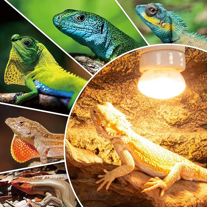 REPTI ZOO 25W Upgraded Nano Reptile Daylight Basking Spot Heat Lamp Bulb 2 Pack, UVA Full Spectrum Sun Light Daytime Heating Lamp for Reptile