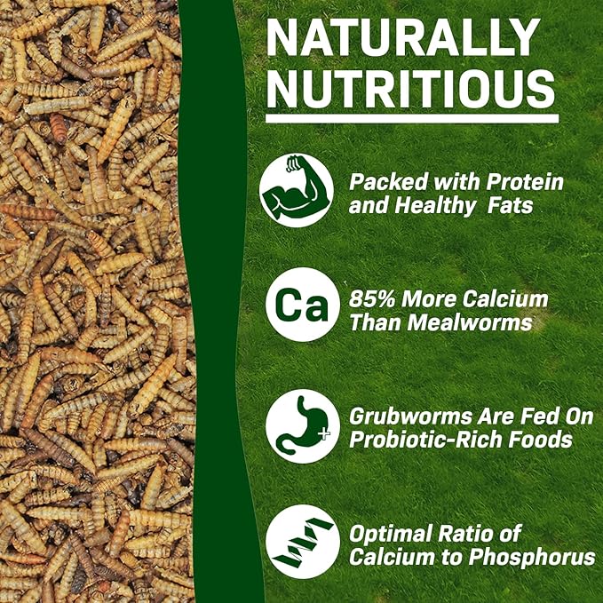 EZ-Worms (10 lb) - Blend of Dried Mealworms & Black Soldier Fly Larvae (BSFL) - Healthy Insect Treat - Chickens, Bluebirds, Sugar Gliders, Hedgehogs, Squirrels, Skunks, Reptiles, Turtles, Fish