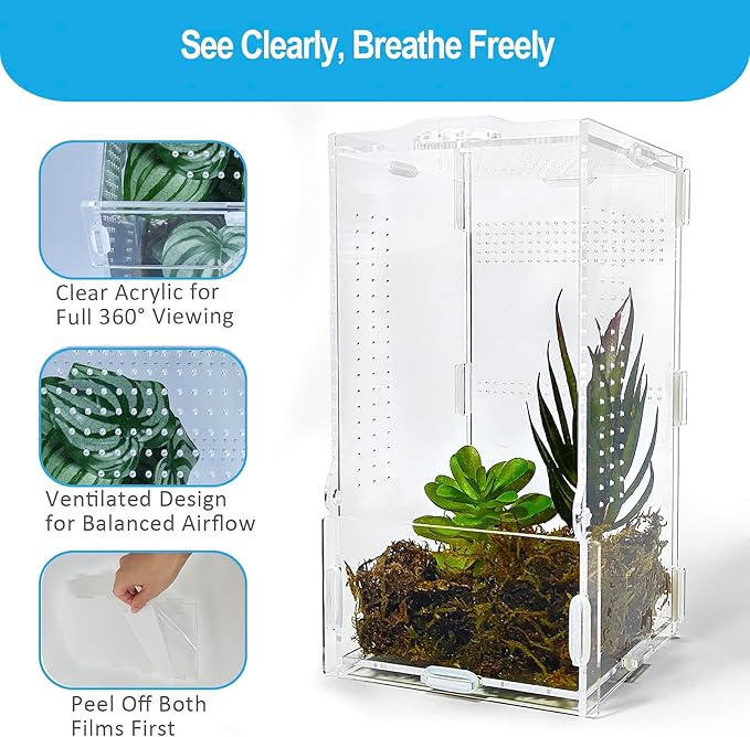 Jumping Spider Enclosure, Arboreal Tarantula Enclosure, Praying Mantis Terrarium Critter Cage for Jumping Spider, Tarantula Slings, Snail, Isopods, Beetles, Millipedes, Springtails
