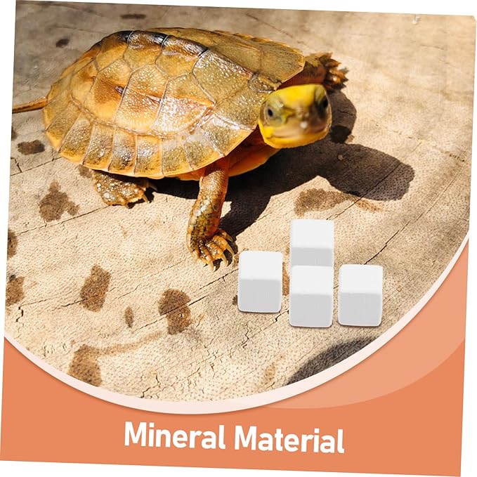 Abaodam 6pcs for Reptiles and Crabs Natural Molar Cubes for Enhanced Digestion and Mineral Supply Lightweight Chew Toys for Terrariums and Aquariums