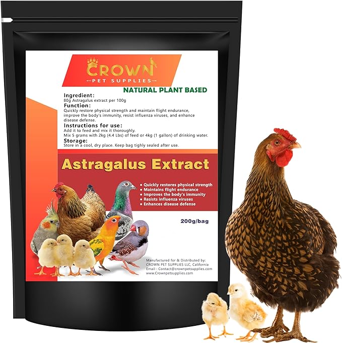 Astragalus Extract Powder for Birds – All-Natural Immune Support Supplement for Backyard Chickens, Poultry, Pigeons, & Parrots – Natural Immune Booster – Safe for All Birds