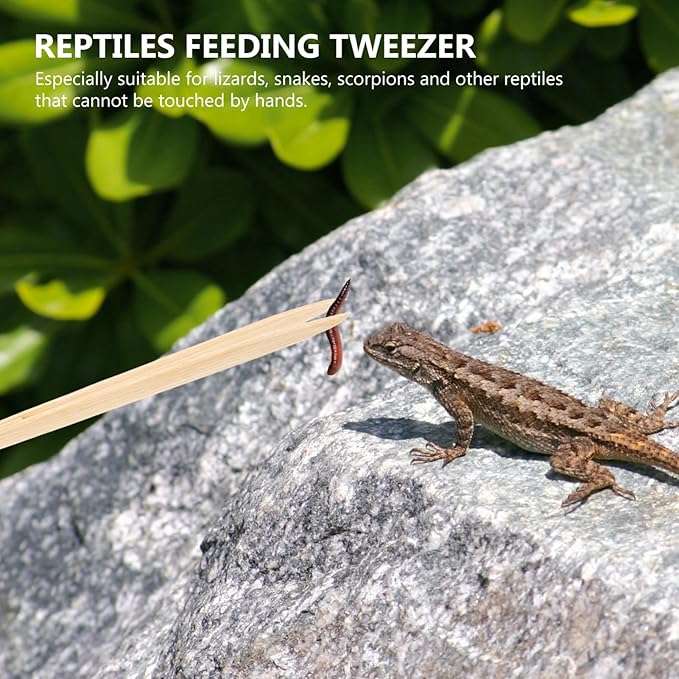 Mipcase Reptile Tweezers Non-Slip Grip Pet Feeding Tongs for Crawling Pets Safe for Terrarium