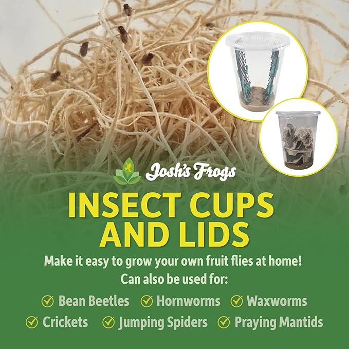 Josh's Frogs 32 oz Fruit Fly Cup and Vented Lid- 20 Pack