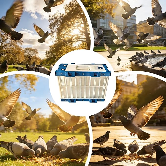 Travel Bird Cage, Breathable Portable Pigeon Carrier, Small Bird Transport Cage with Lock, Parakeet Parrot Training Release Box