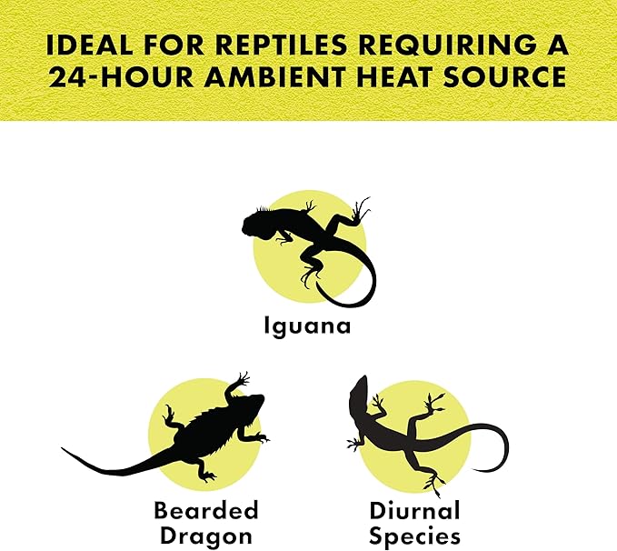 Zilla Incandescent Spot Bulb, for Nocturnal Reptile Species, Night Red (Pack of 2)