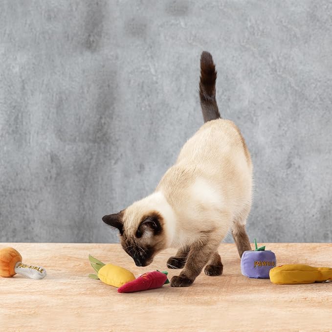 Pawsible 5 Pack Catnip Toys for Indoor Cats - 100% Organic Catnip Filled, No Cotton, Durable Teething Kicker Toys for Kittens, Food-Shaped Plush Chew Toys - Image 7