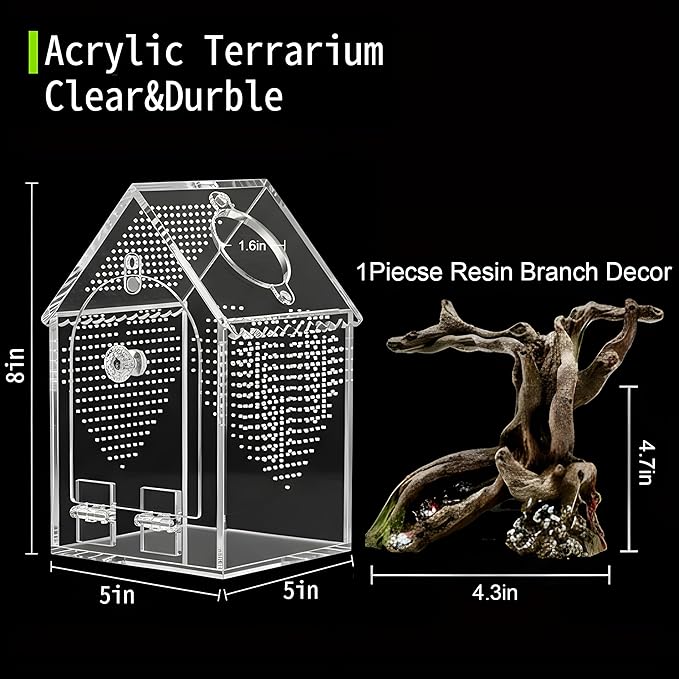 Jumping Spider Enclosure (5" *5" *8") Warp-Proof Seamless Acrylic Tarantula Terrarium with Magnetic Door & Feeding Hatch for Praying Mantis,Snail,Hermit Crabs,Reptile(Includes Decorative Accents)