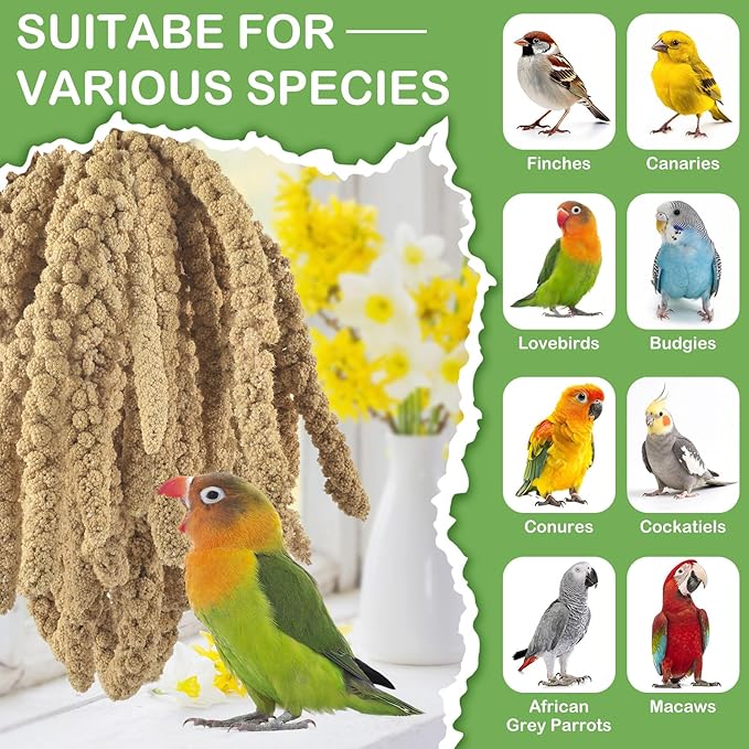 ERKOON 2.5LB Spray Millet Treat, All Natural Sun-Dried Healthy Treat Parrot Food Bird Snack for Parakeets, Lovebirds, Cockatiels, Finches, Budgies, Canaries Hamster, Bird Food Bulk