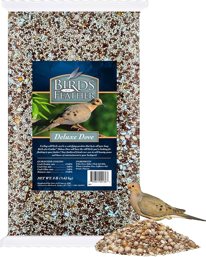 Birds of a Feather Deluxe Dove Food, Pigeon Food, Mourning Dove Outdoor Bird Seed, Dove Bird Seed, Comida para Palomas, Made in USA, 8 lbs