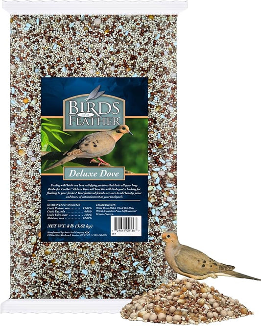 Birds of a Feather Deluxe Dove Food, Pigeon Food, Mourning Dove Outdoor Bird Seed, Dove Bird Seed, Comida para Palomas, Made in USA, 8 lbs