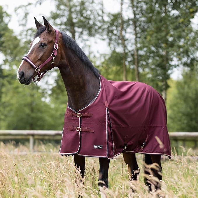 Horze Glasgow Light Weight Waterproof Turnout Horse Sheet (No Fill) - Burgundy - 75 in