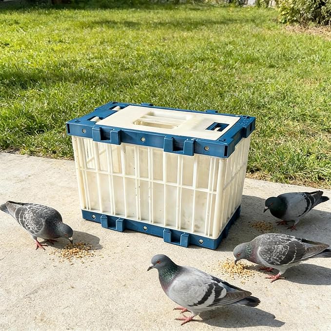 Pigeon Cage Breathable Carrier – Portable Sturdy Small Bird Lock Parakeet, Durable, Parrot Transport Training, Release Competition Outdoor | Multipurpose Outdoor Indoor Utility Premium