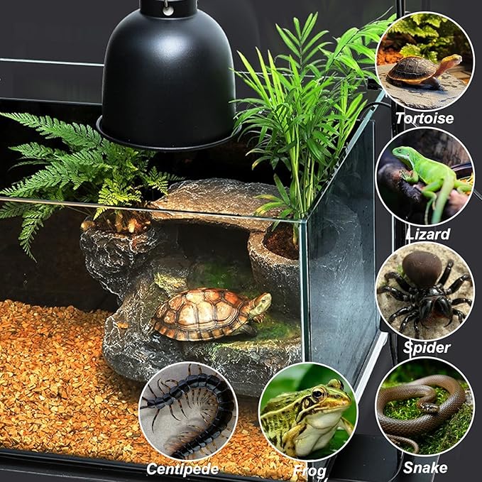 Reptile Lamp Stand Detachable & Extendable Metal Aquarium Light Riser with Hook and Stand Width Height Adjustable for Amphibian Terrarium Aquarium Tank|Terrarium Heat Lamps Mats