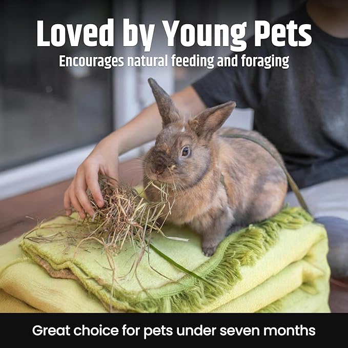 High Desert Alfalfa Hay, Protein Rich Soft Leaf Food for Young Growing Animals, Natural Rabbit Food and Guinea Pig Hay, Supports Digestive Health, Small Pet Supplies, Fresh Hand Packed 5 Lb Box