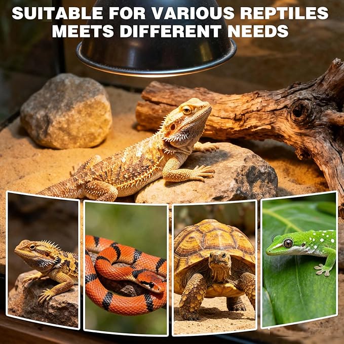 8.5-inch Standard lamp Dome for Reptile Heating Lamps, Object/Heat/Ceramic Heat emitters, up to 200W for Bearded Dragons, Turtles, Snakes and Lizards Lamps