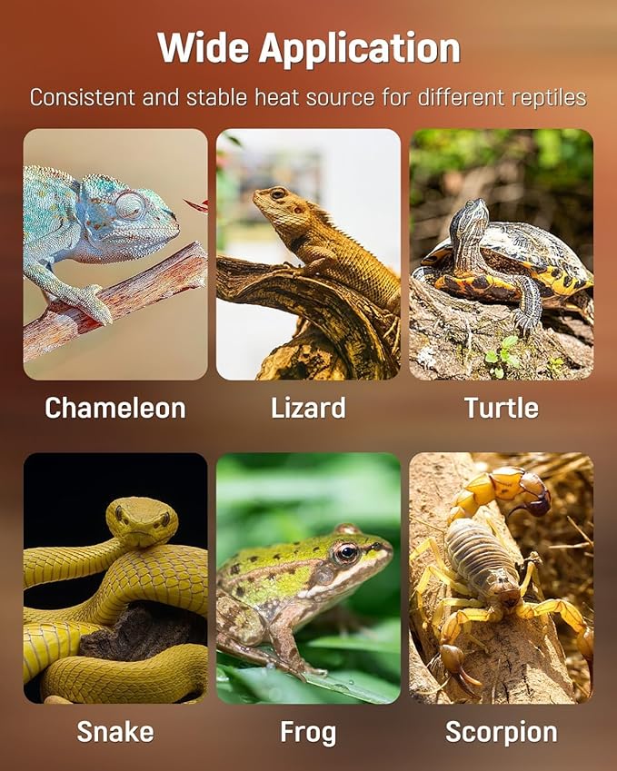 Pawfly Reptile Heat Pad with Thermostat & Timer - Reptile Heating Pad 8 x 5.9 Inch, 7 W Hermit Crabs Heating Pads, Heat Mat for Reptiles Turtles Frogs Snakes Lizards Geckos Plants Seedlings